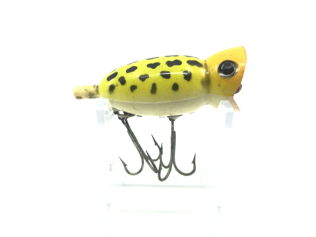 Arbogast Hula Popper Frog
