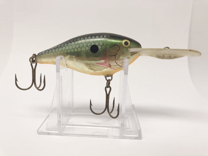 Rapala Perch