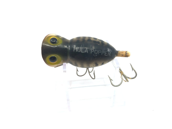 Arbogast Hula Popper Coach Dog Full Orange Belly Color