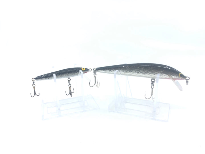 Two Black and Silver Minnow