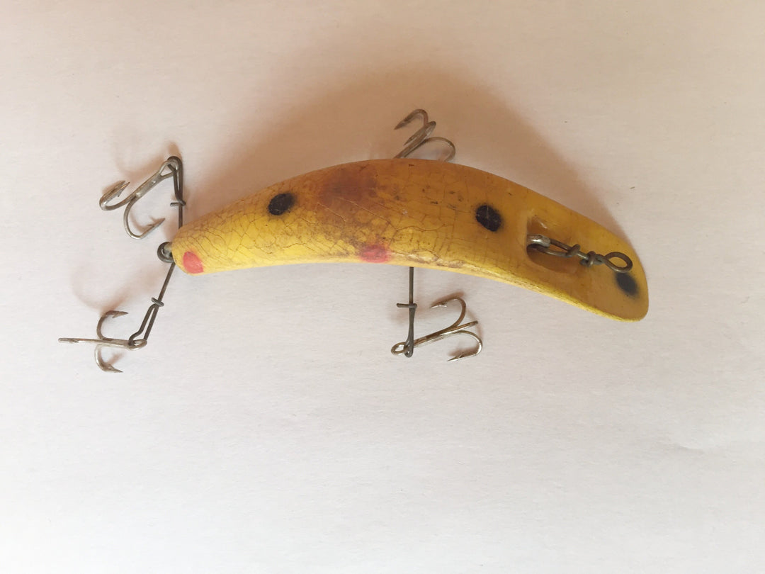 Helin Flatfish Yellow with Red and Black Spots