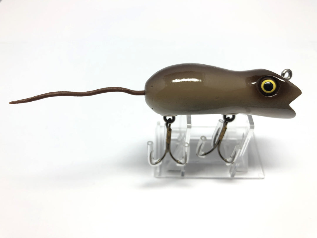 Chautauqua Swimming Mouse Field Mouse Color