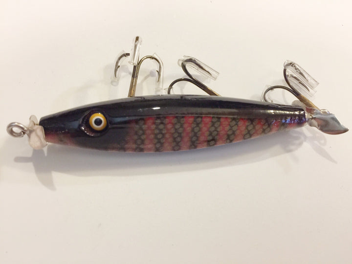 Chautauqua Injured Minnow Red Perch Special Order!
