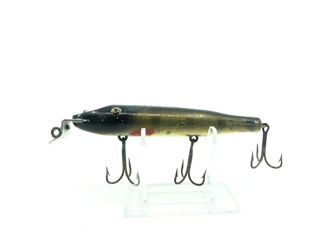 Creek Chub 700 Pikie in Perch 701 Color