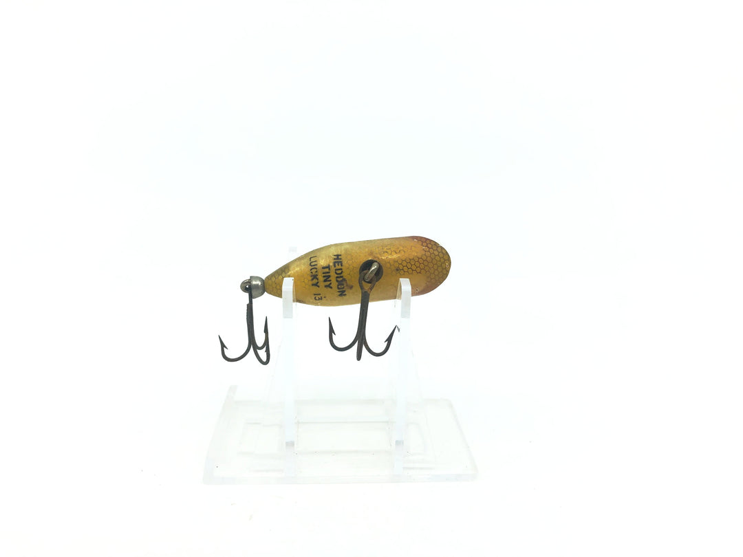 Heddon Tiny Lucky 13 L Perch Color