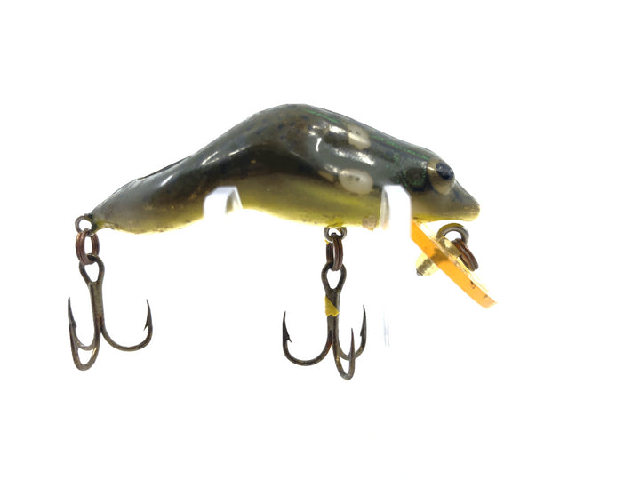 Rebel Wee Frog Green Bullfrog Color