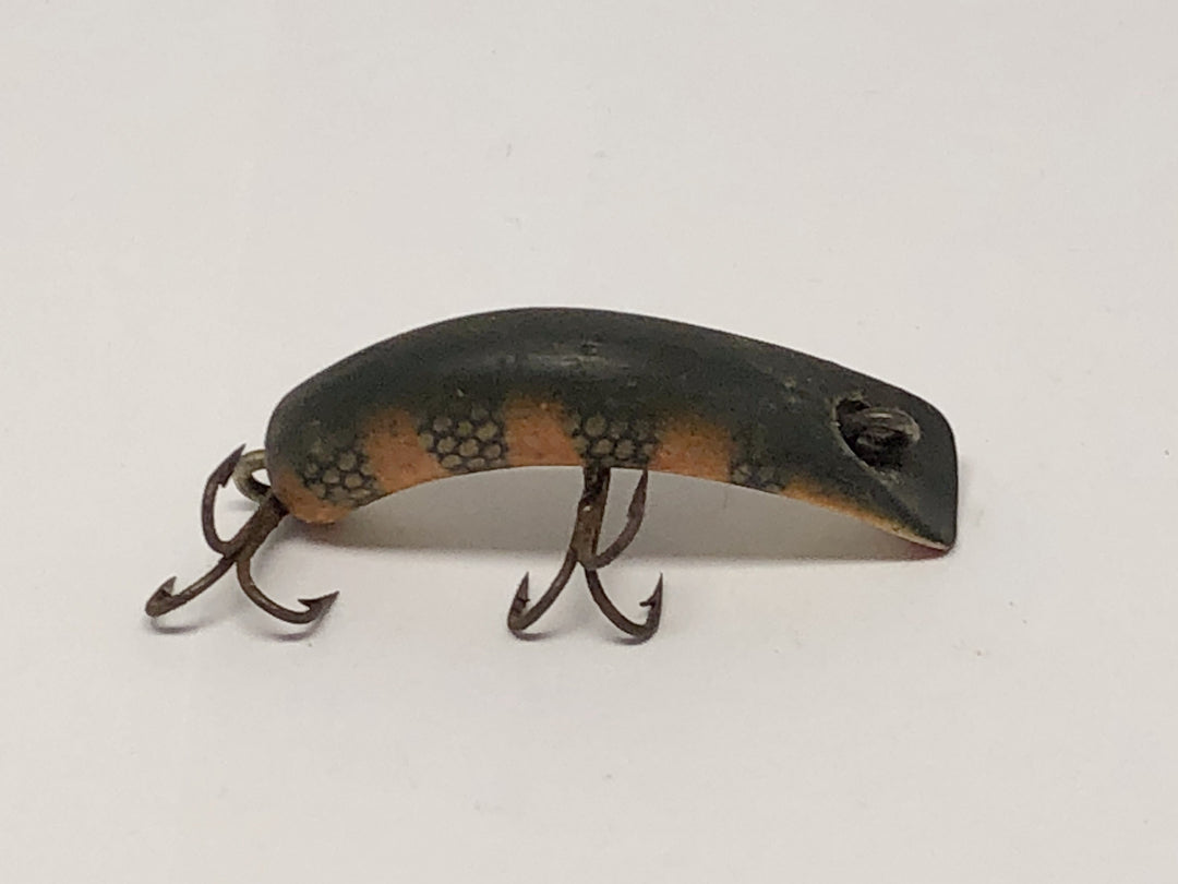 Kautzky Lazy Ike Perch Color
