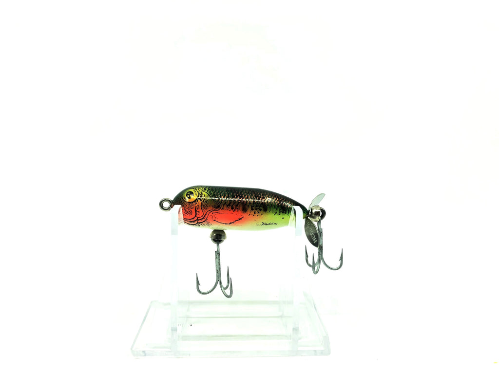 Heddon Tiny Torpedo LC Natural Perch Color – My Bait Shop, LLC