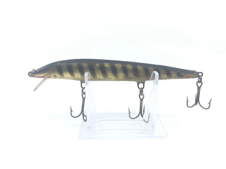 Minnow Black with Gold Stripes Color