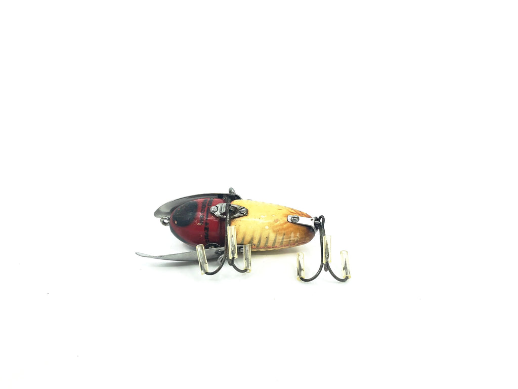 Heddon Wooden Crazy Crawler 2100 XRW Red Shore Minnow Color – My