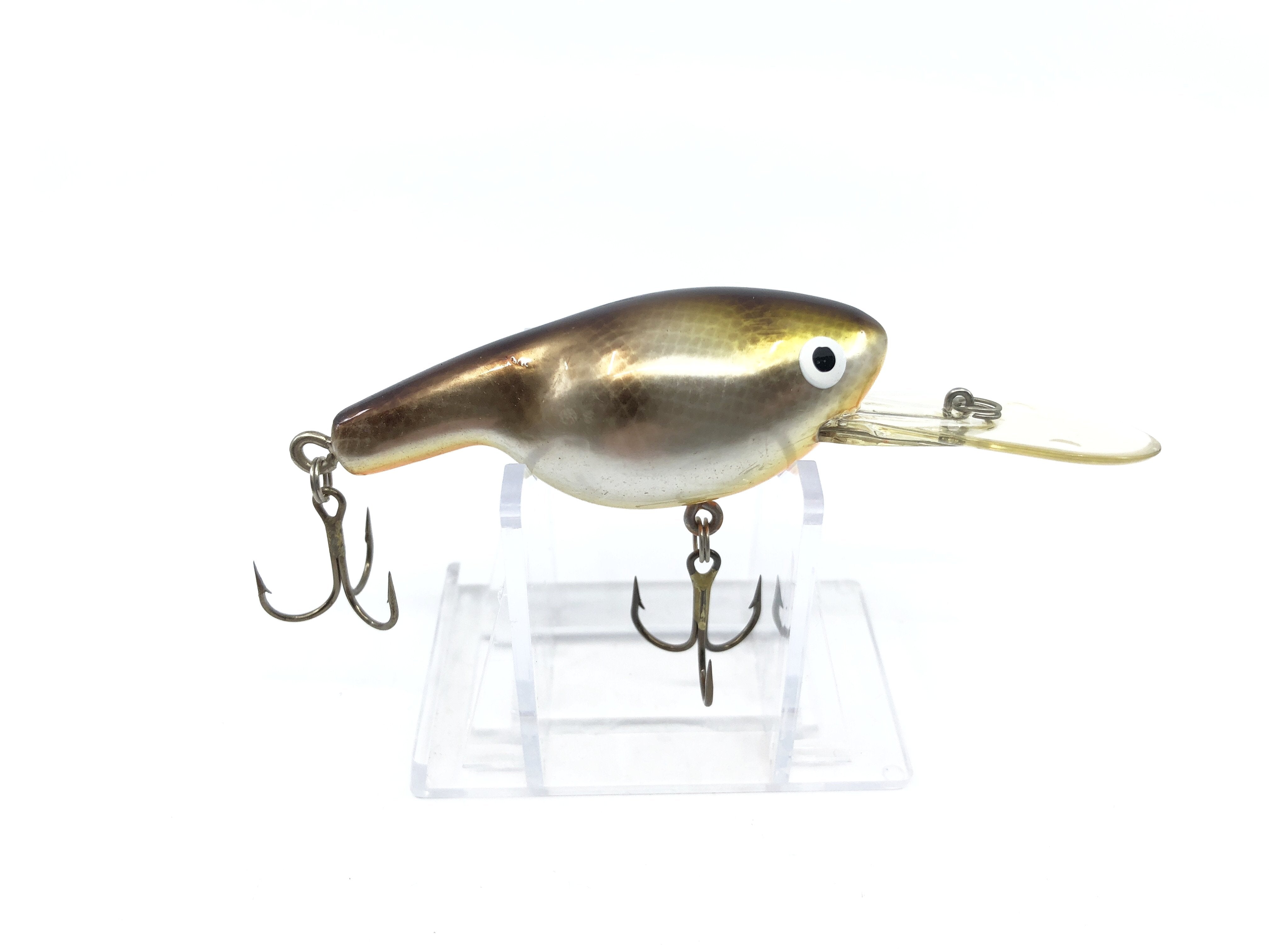 bagley fat cat fishing lure Bagley Fat Cat Type Bait Golden Perch – My Bait Shop, LLC