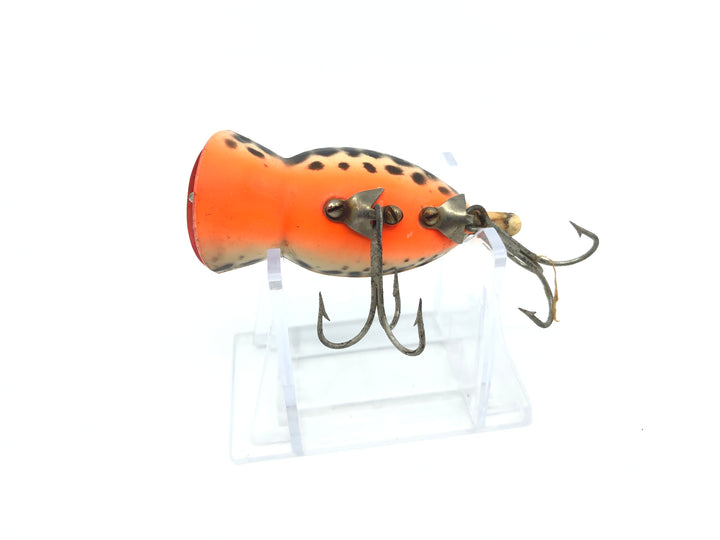 Arbogast Hula Popper Coach Dog Full Orange Belly Color