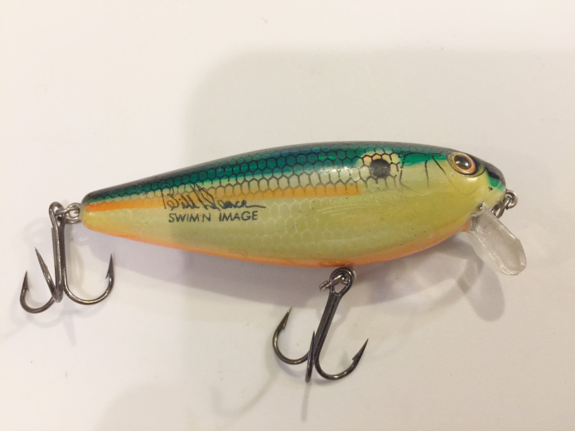 Excalibur Shallow Runner Bill Dance Swim N Image – My Bait Shop, LLC