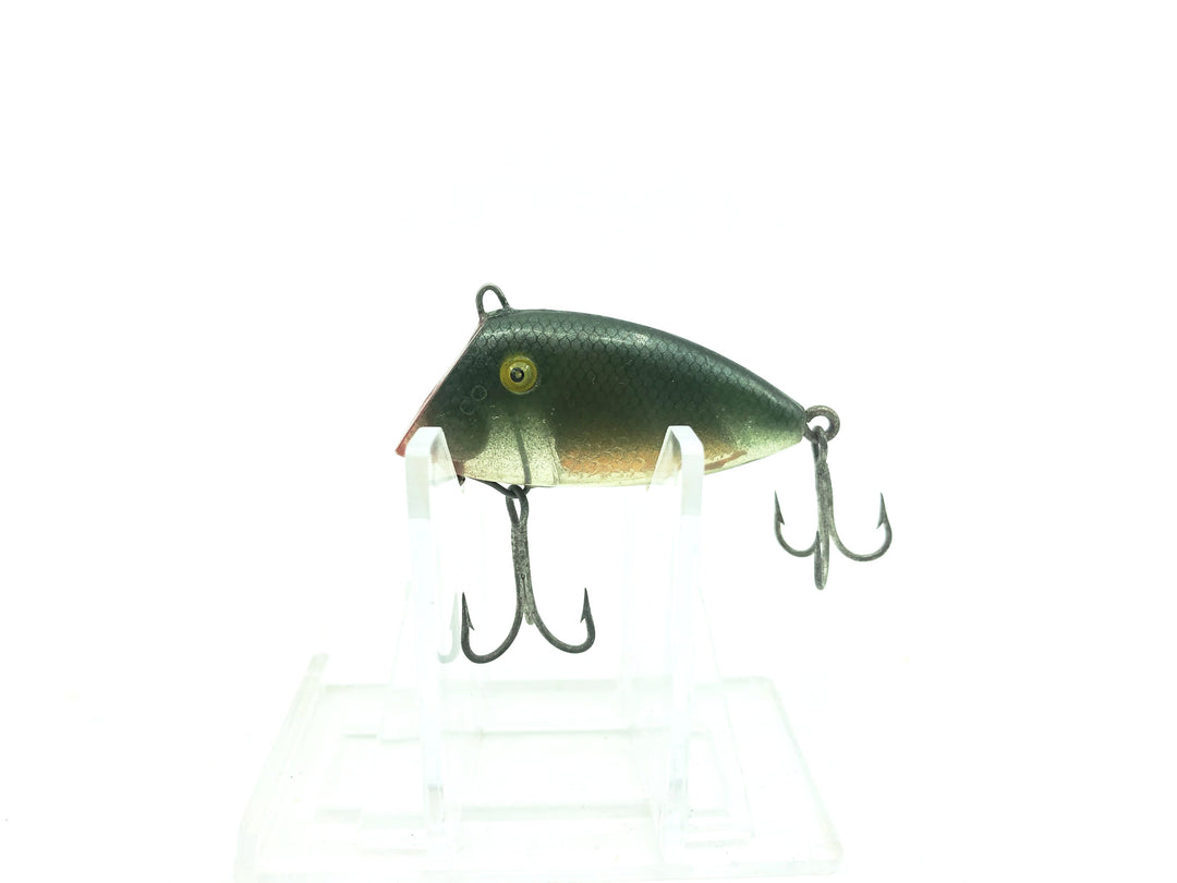 PICO Perch CHICO Perch Series C, Green Shad Color