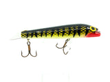 Bobbie 6 1/2" Jerk Bait, Bumble Bee Tiger Color