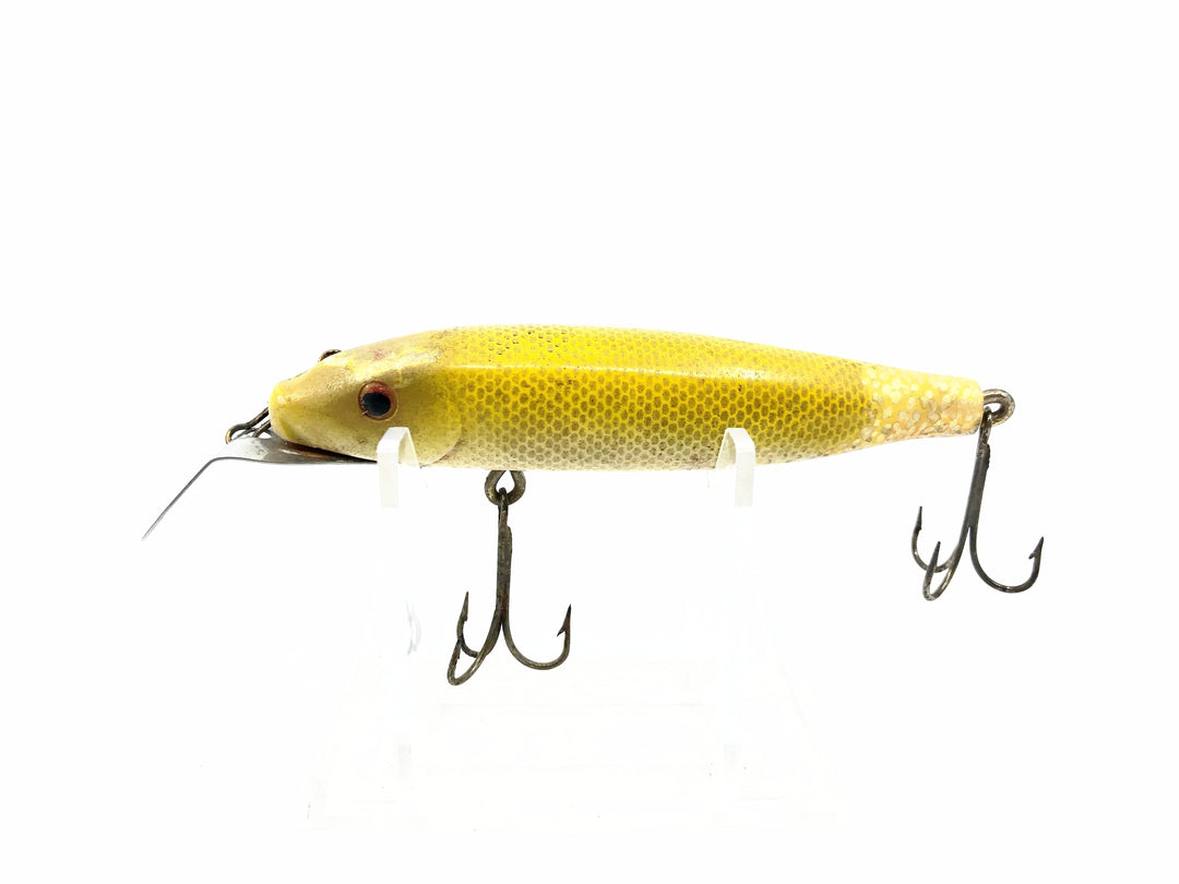 Bear Creek Sucker Minnow, Yellow Scale Color