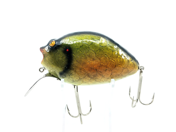 Musky Dan (XXX Lures) Giant Punkinseed 4 1/2", Sunfish Color