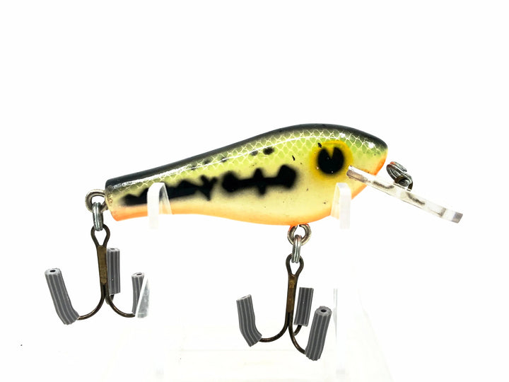 Poe's Super Cedar RC1, Baby Bass/Orange Belly Color