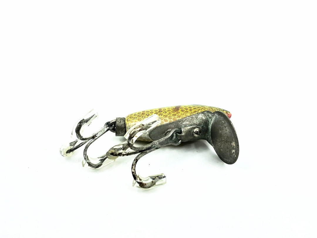 Tulsa Tackle Bizzy Bee, Perch Color