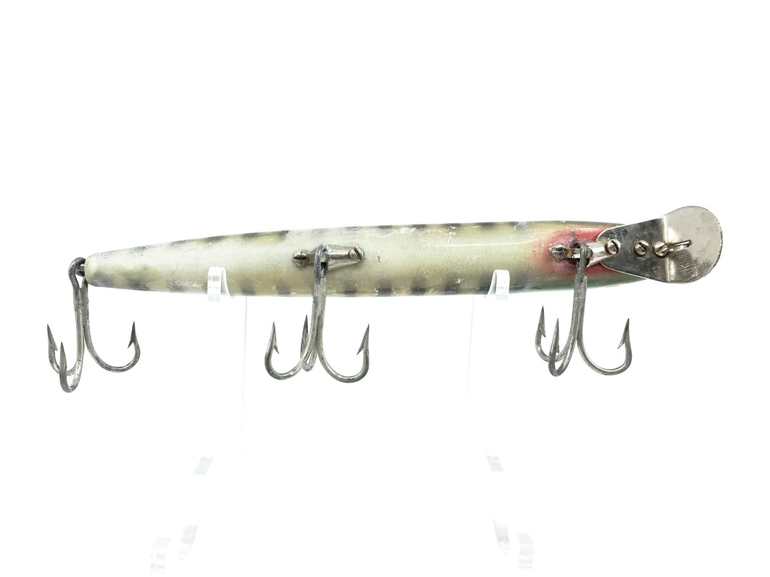 Cisco Kid Musky Lure Green Pike Color Shallow Lip
