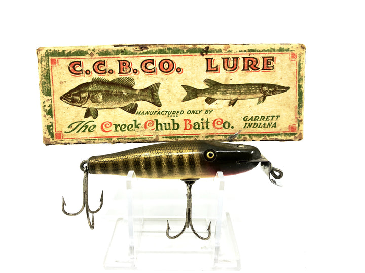 Vintage Creek Chub Baby Pikie 900, Pikie Color with Box
