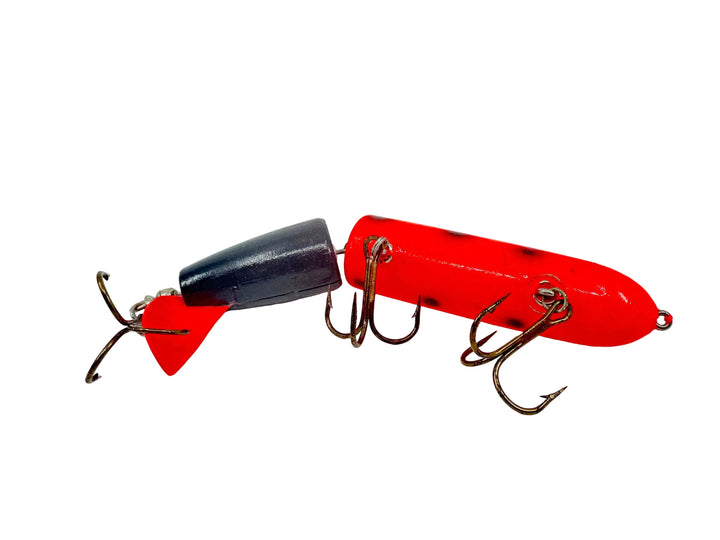 Hi-Fin Teasertail, Blaze Orange Head/Black Dots & Tail Color