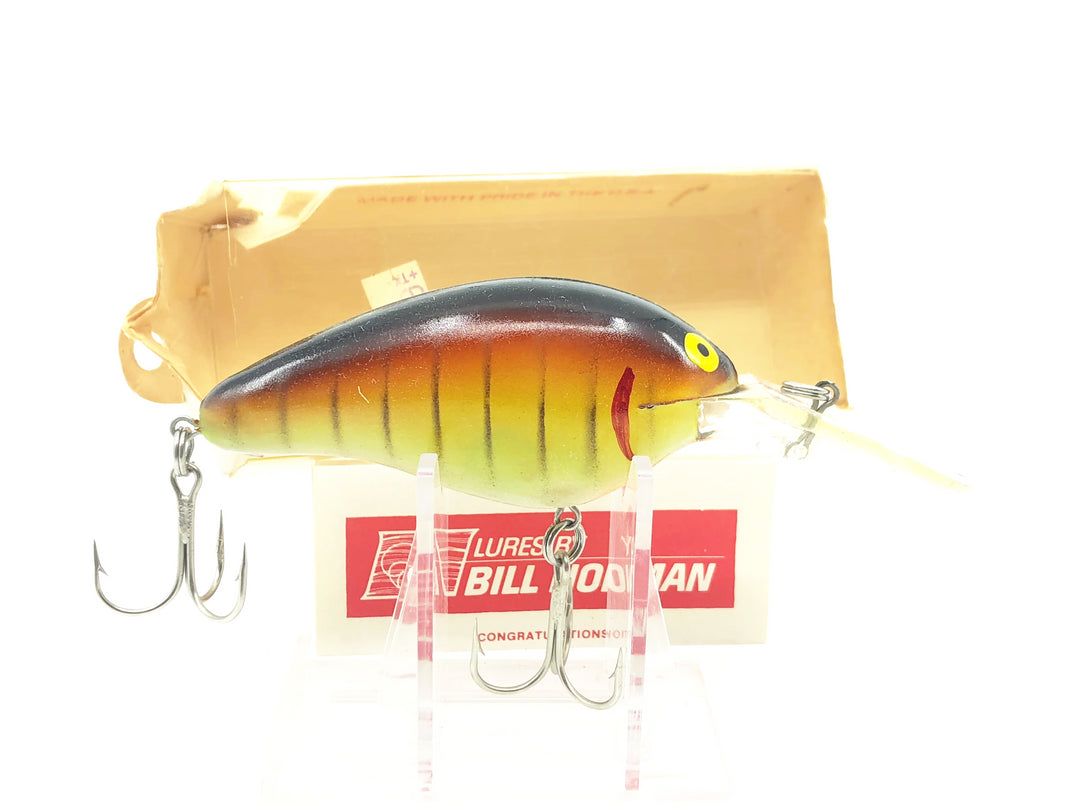 Norman Deep Big N 1800, #53 Bumble Bee Color with Box
