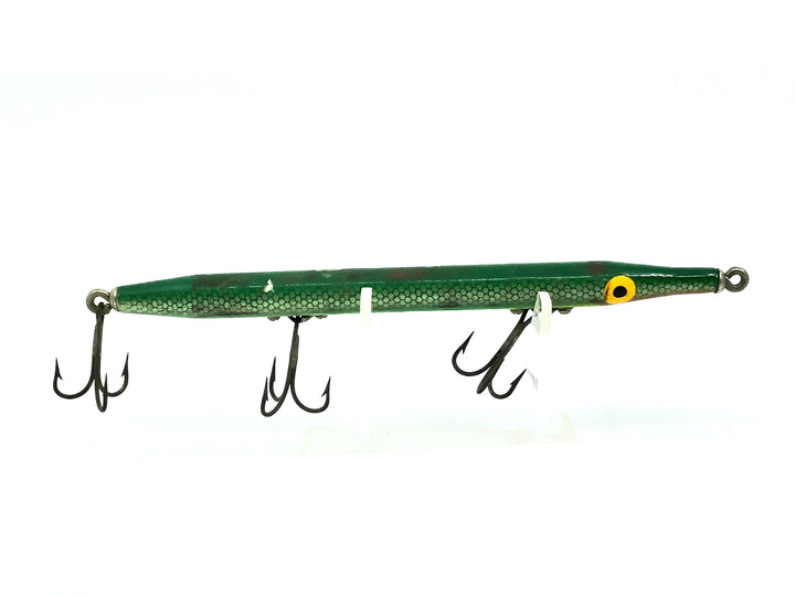 Boone Needlefish, Green Scale Color