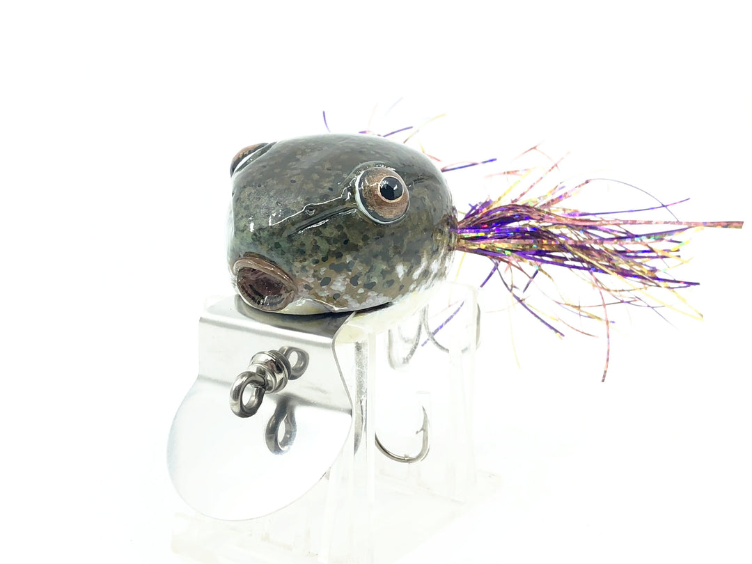 Chautauqua Deluxe Dingbat, Tadpole Color