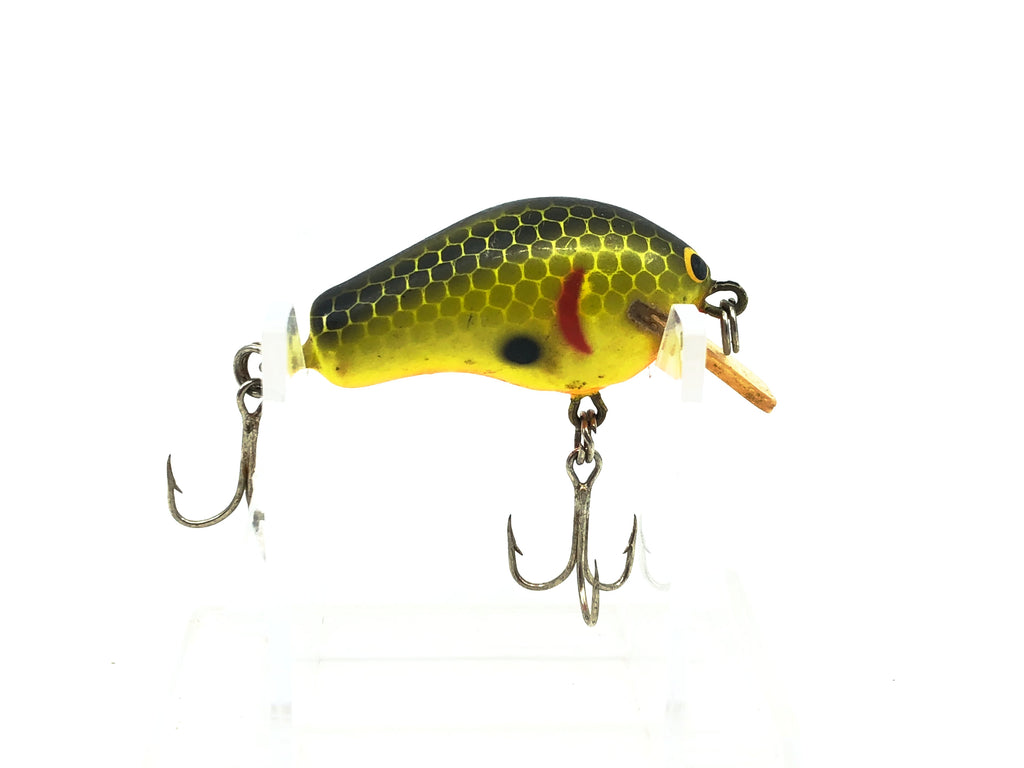 Bagley Diving Honey B1 HB1, YP Yellow Perch Color My Bait Shop, LLC