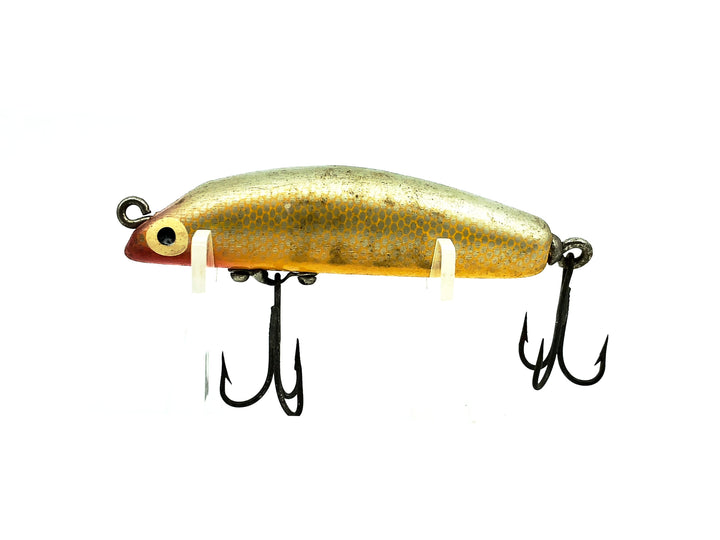 Boone Castana, Silver Scale and Back/Yellow Color