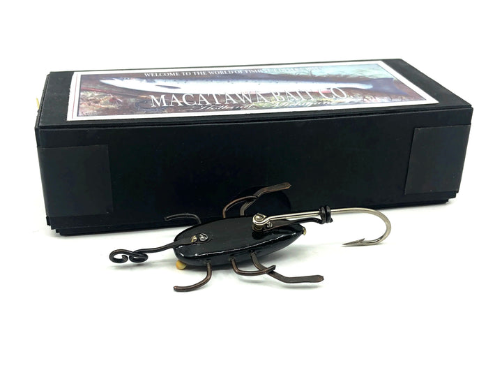 Macatawa Beetle, Water Bug w/Box