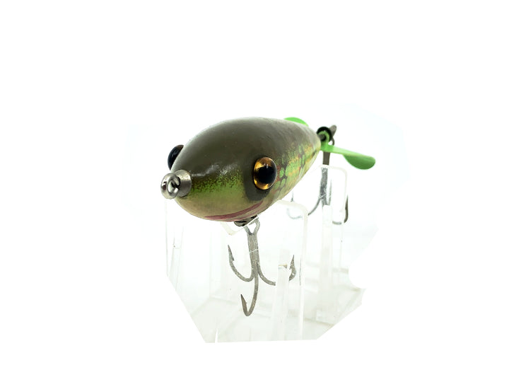 Contemporary Spinning Minnow, Pike Color
