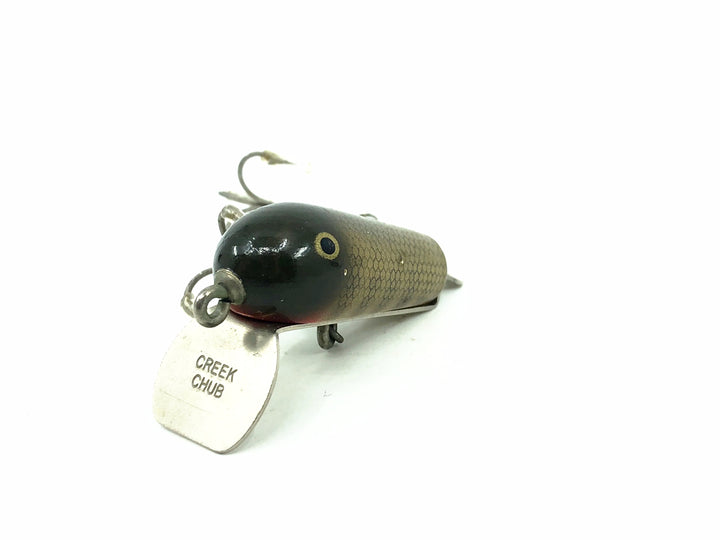 Creek Chub 500 Spoon Tail, #00 Pikie Scale Color