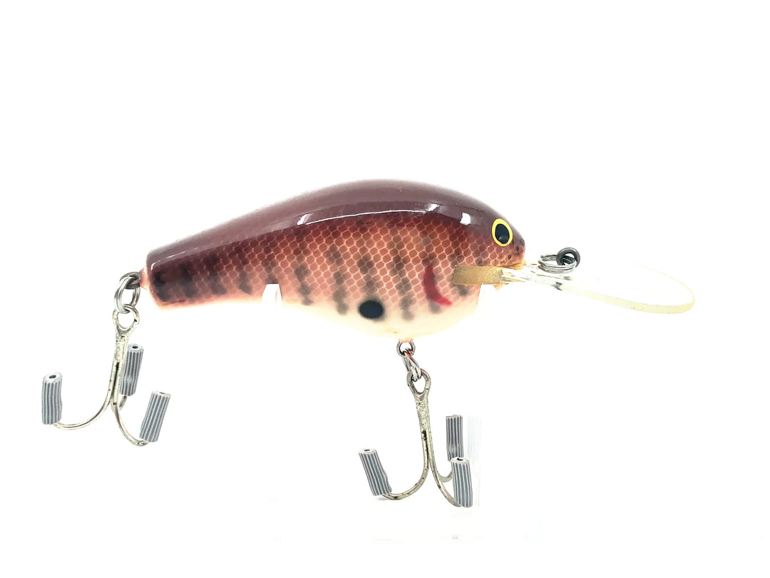 Bagley Diving B3 DB3-DC, Dark Crayfish Color