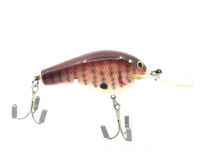Bagley Diving B3 DB3-DC, Dark Crayfish Color