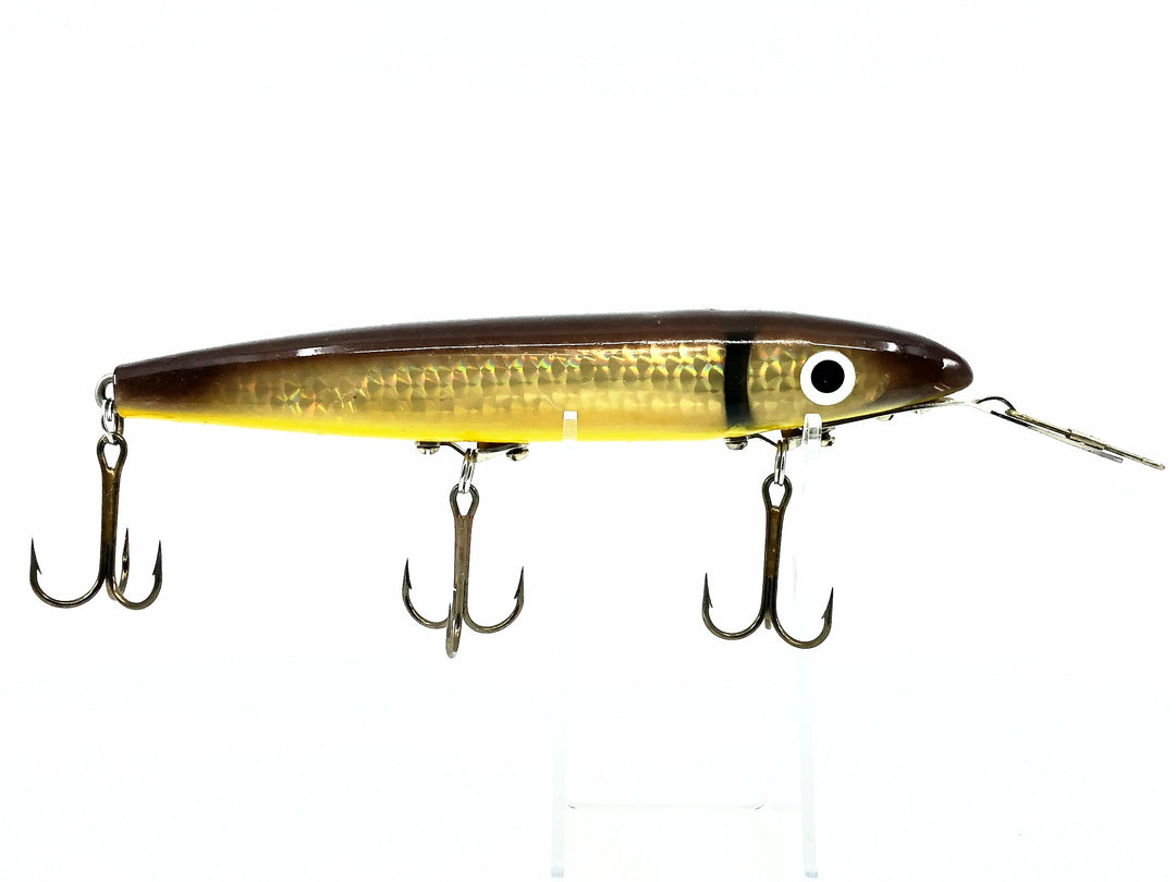 Cisco Kid 1800 Series Super Husky, Brown/Silver Color