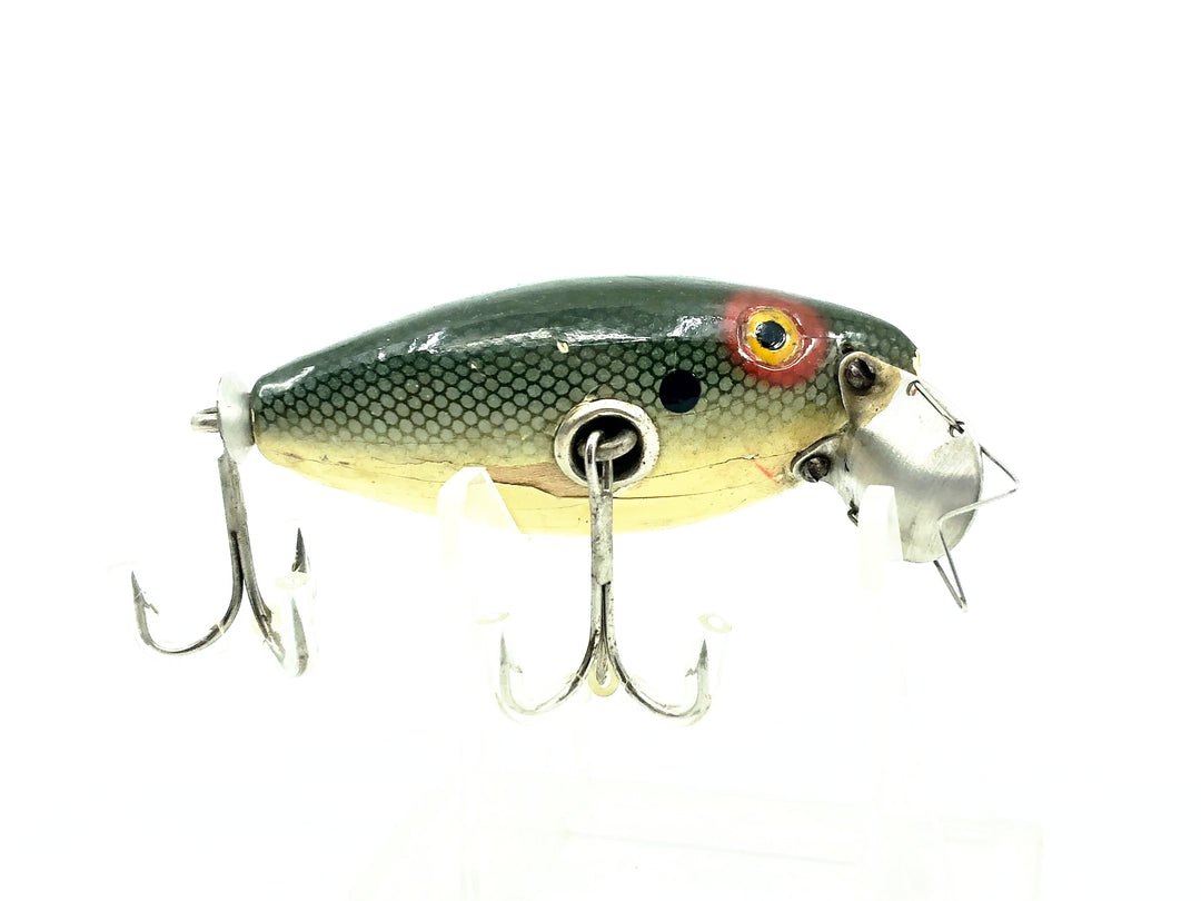 True Temper Crippled Shad, Shad Color