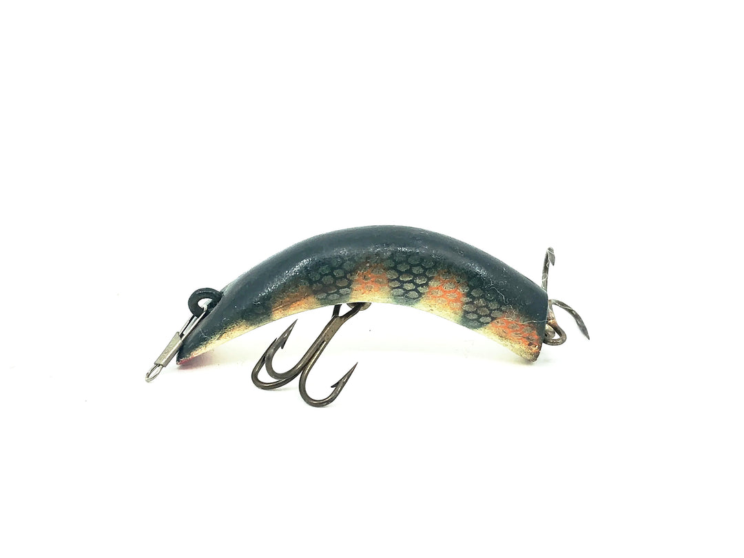 Lazy Ike #1, PE Perch Color