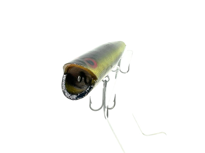 Poe's Hullabaloo 2300, Tennessee Shad Color