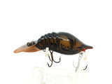 Mann's Hackleback Crawdad, Brown Crayfish Color