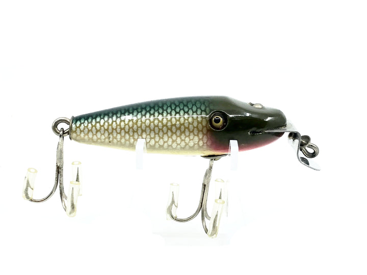 Creek Chub River Scamp 4300 Chub Scale Color