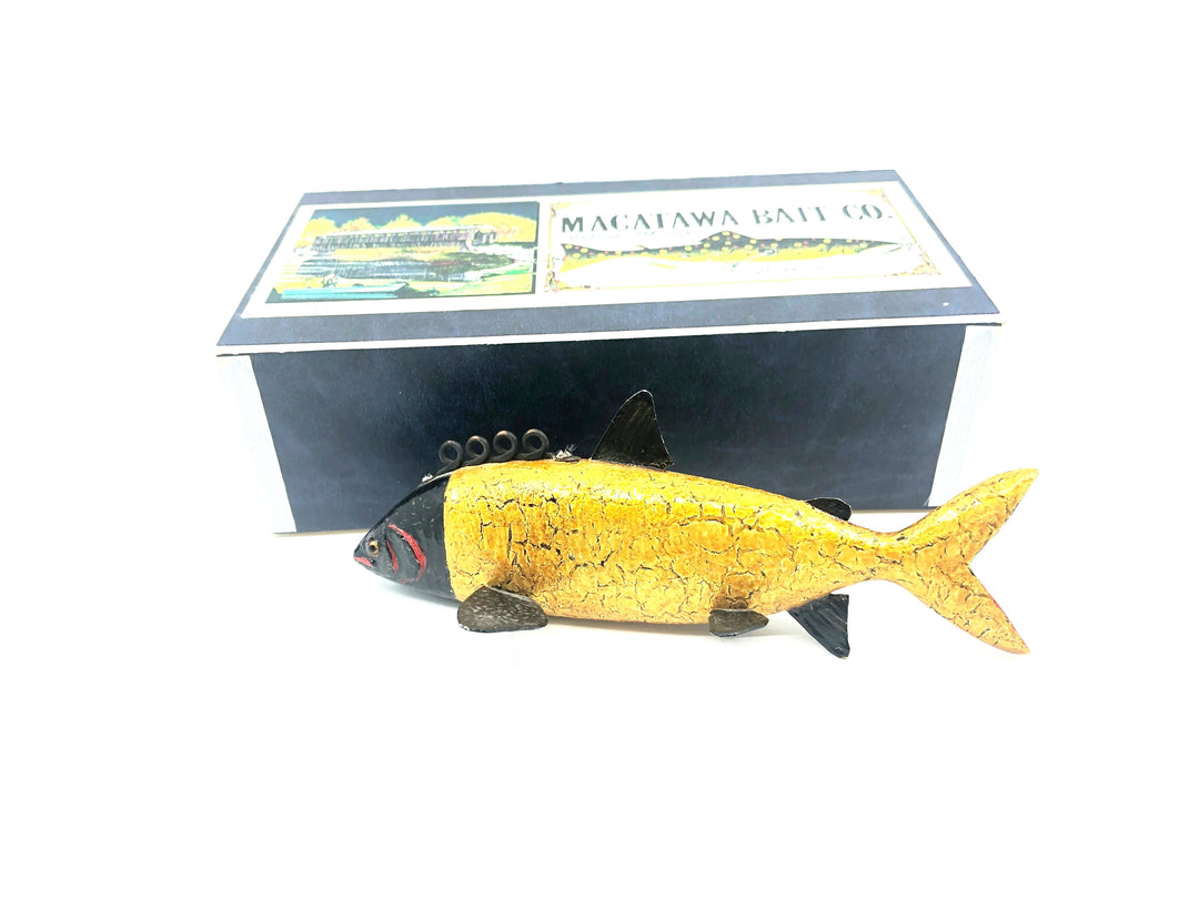 Macatawa Bait Co. Gold/Black Salmon Decoy w/Box