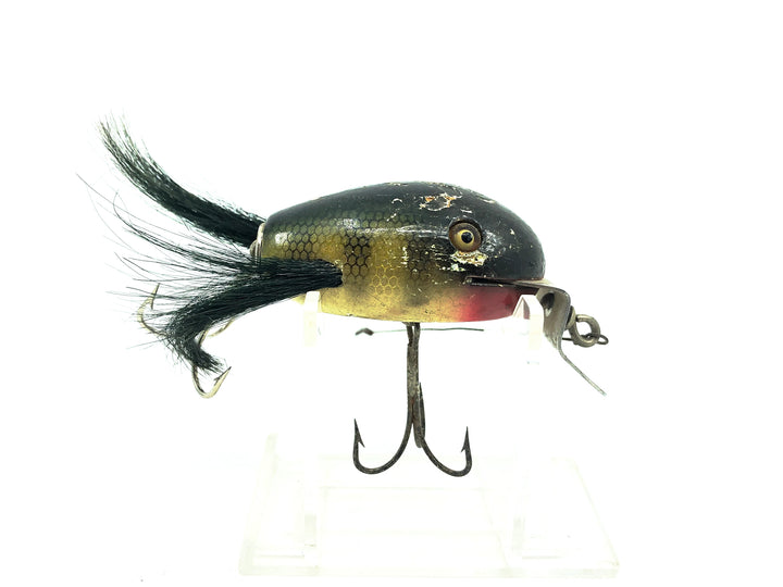 Creek Chub 5100 Dingbat, Perch Color 5101