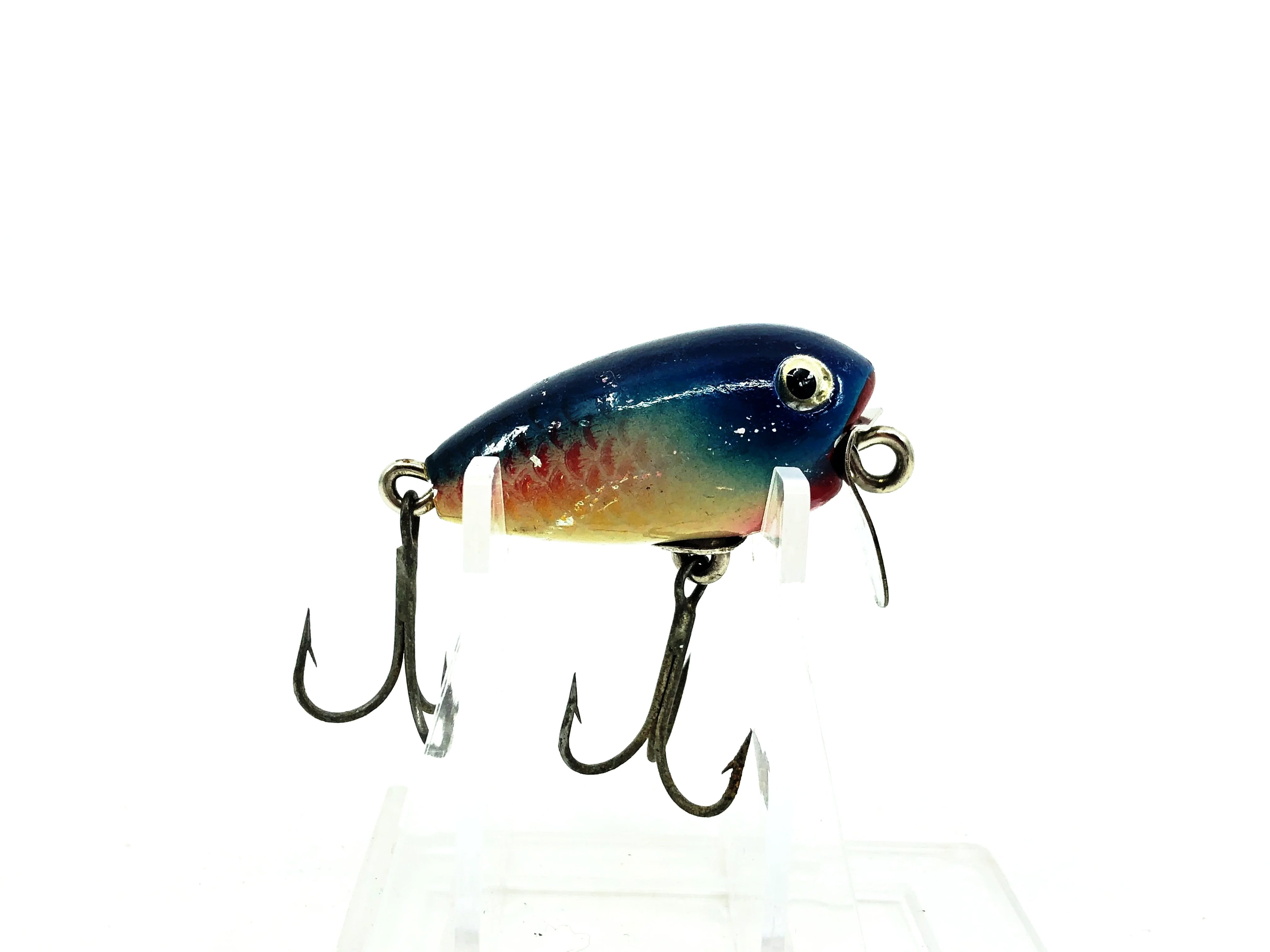 Shakespeare Grumpy, BRS Blue Black/Yellow Scale Color – My Bait Shop, LLC