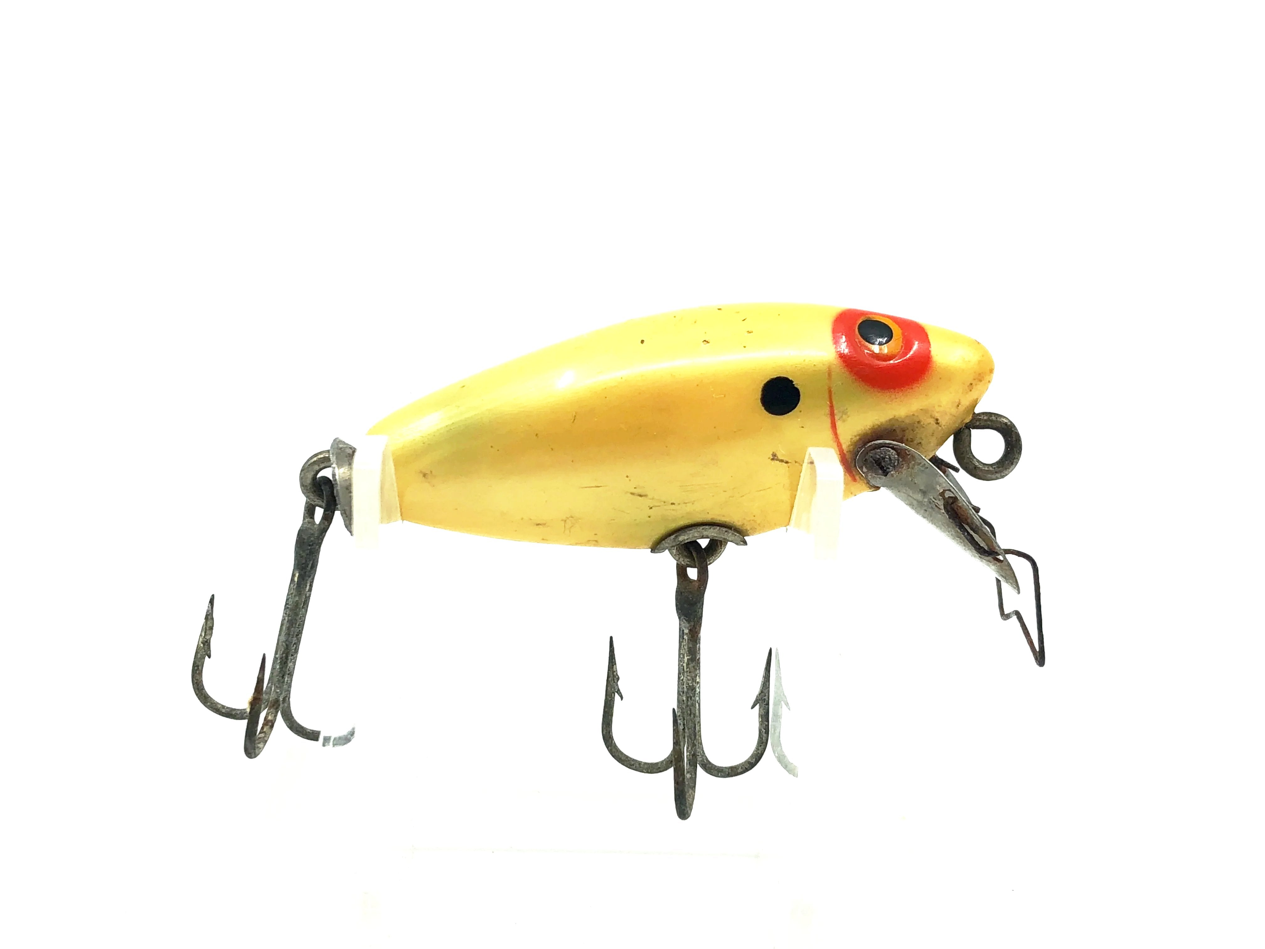 Newest Products