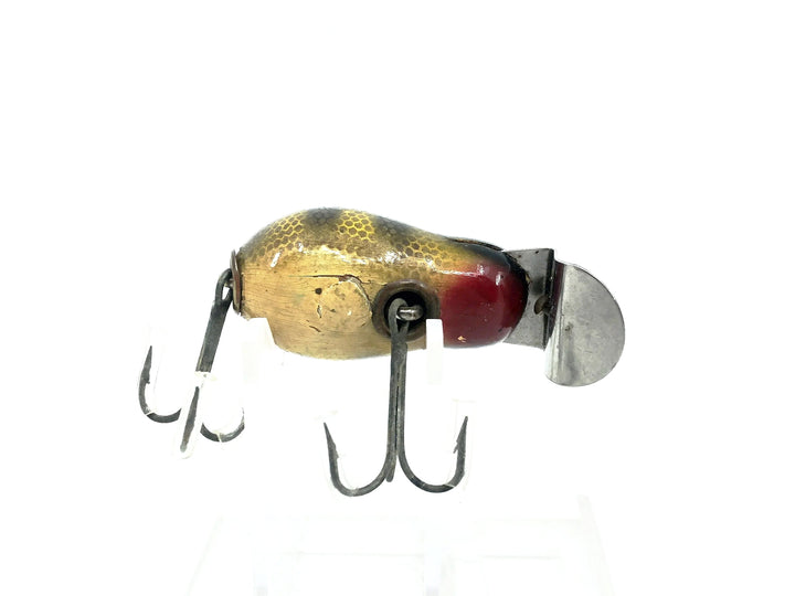 Creek Chub 6400 Tiny Tim #01 Perch Scale Color