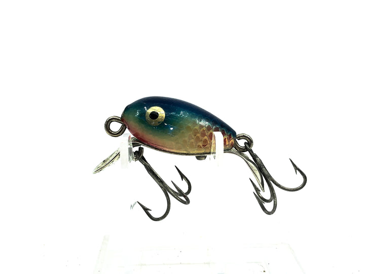 Shakespeare Dopey, BRS Blue Back/Yellow Scale Color