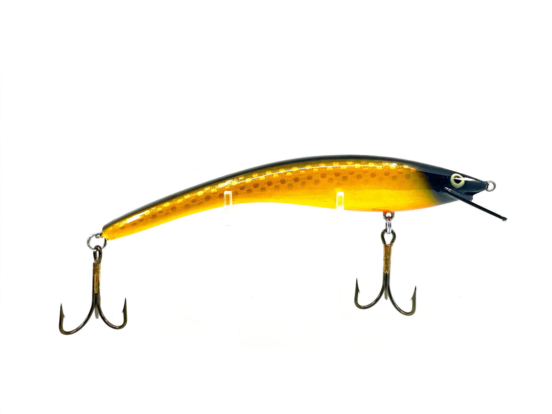 Turus Ukko, Yellow/Gold Scale Color