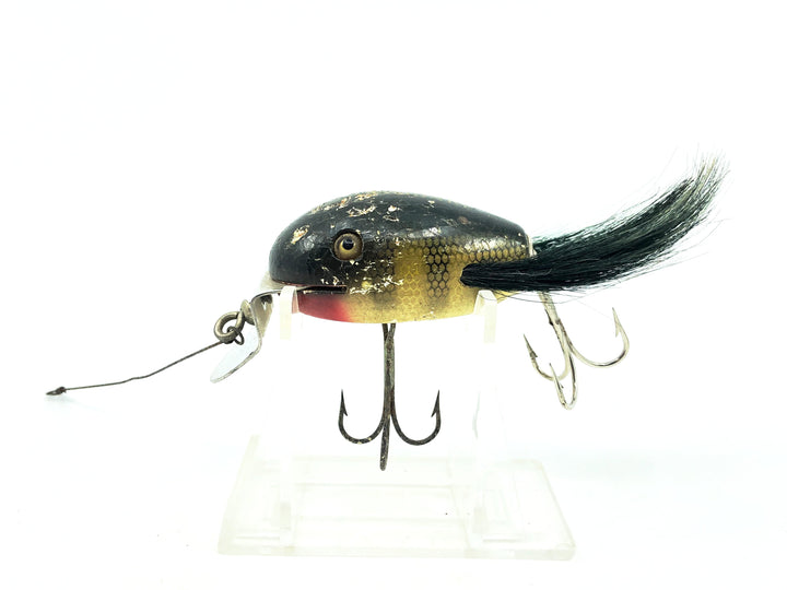 Creek Chub 5100 Dingbat, Perch Color 5101